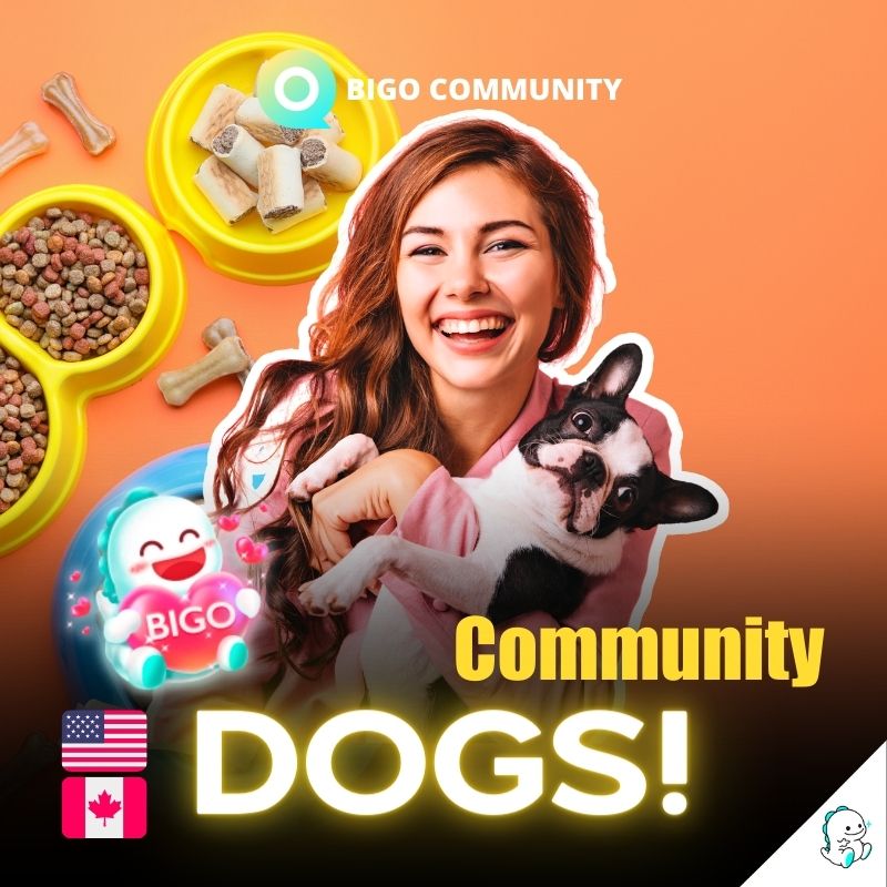 Dog Lovers Community Pet Lovers Community